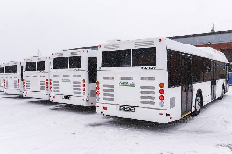 Частный автопарк в Перми пополнился новыми автобусами ЛиАЗ