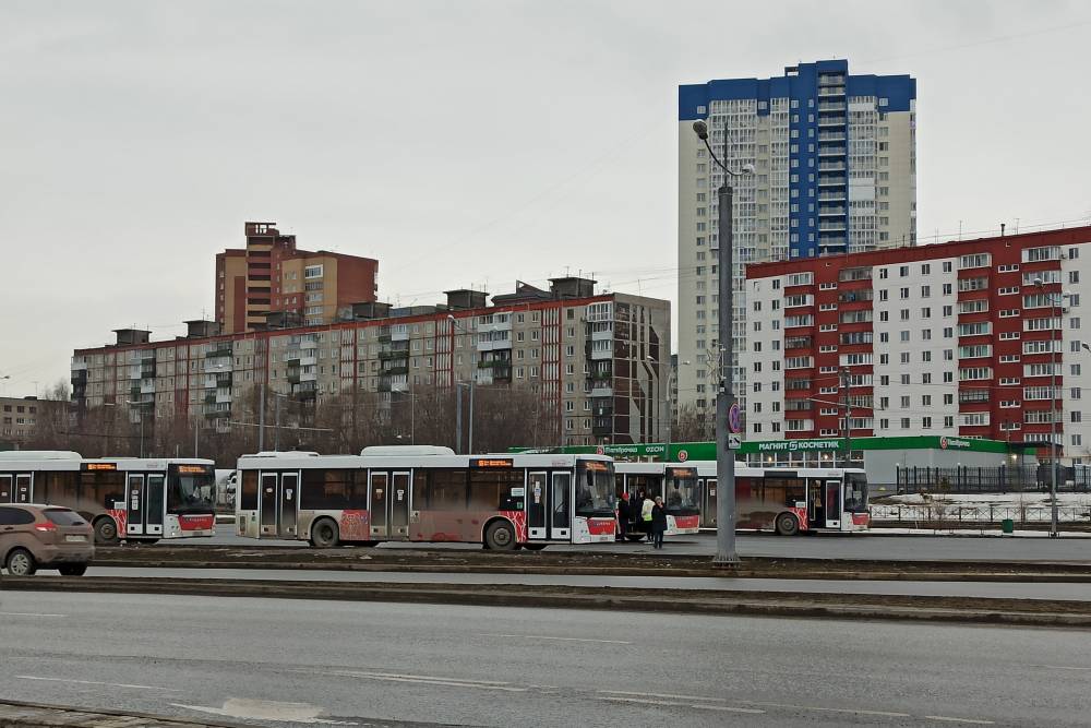 Пермский перевозчик оспаривает законность контракта с ГУП «Автовокзал»