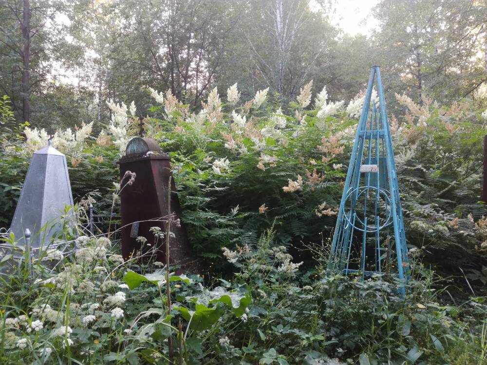 Пятерым жителям Литвы поступили штрафы из Пермского края за уборку на кладбище