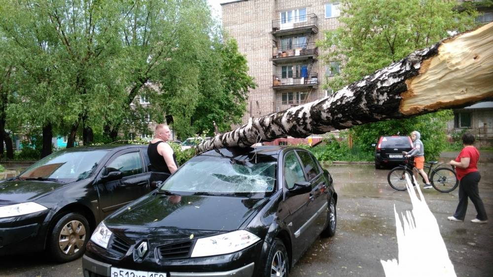 ​В Перми в результате сильного урагана на автомобиль упало дерево 
