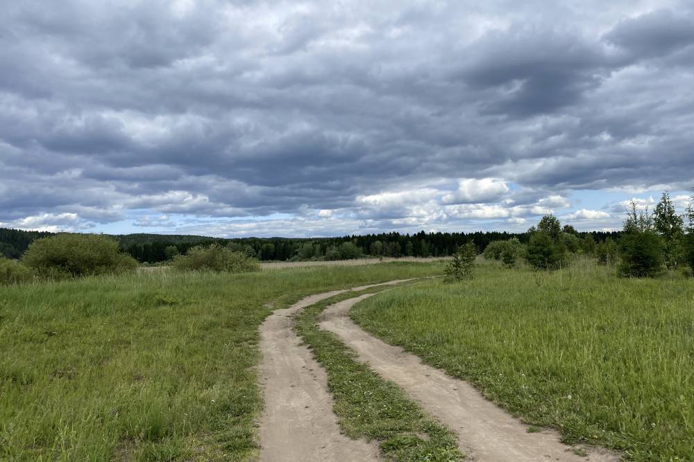​На следующей неделе в Пермском крае ожидается волна тепла