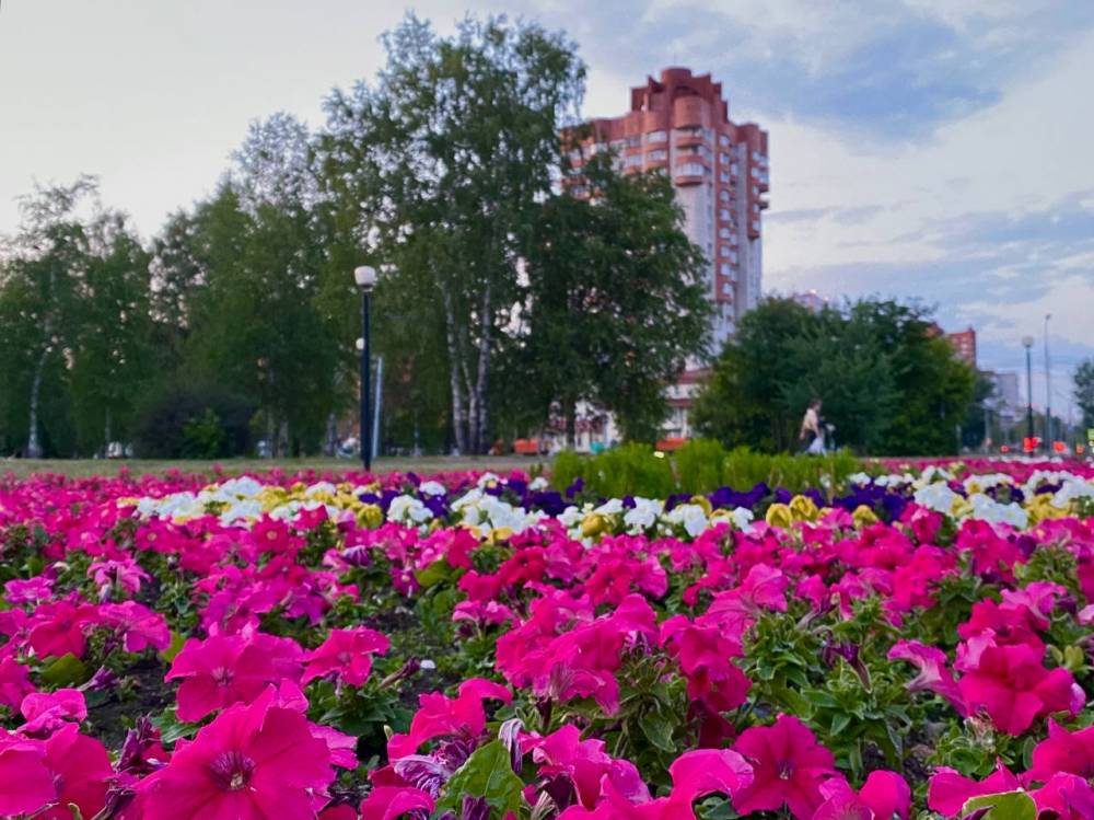 ​Тепло и дожди: синоптики рассказали о погоде в Пермском крае на неделе
