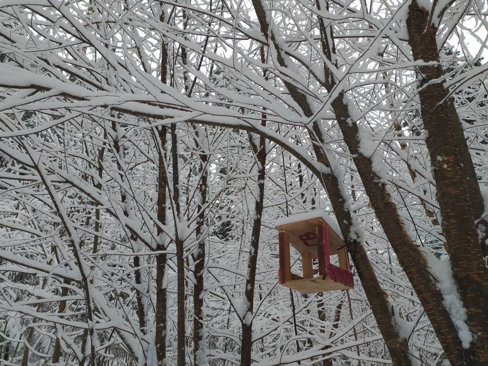 В МЧС предупредили о сильном снеге в Пермском крае