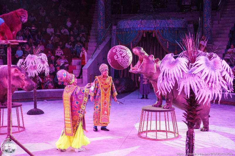 На премьере шоу Гии Эрадзе «Песчаная сказка» в Пермском цирке был аншлаг (0+)