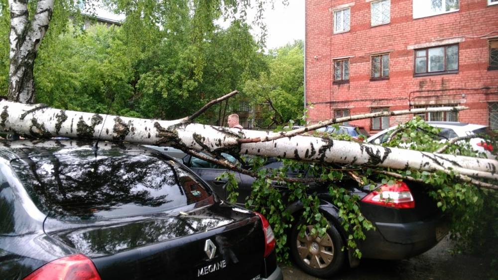 ​В Перми в результате сильного урагана на автомобиль упало дерево 
