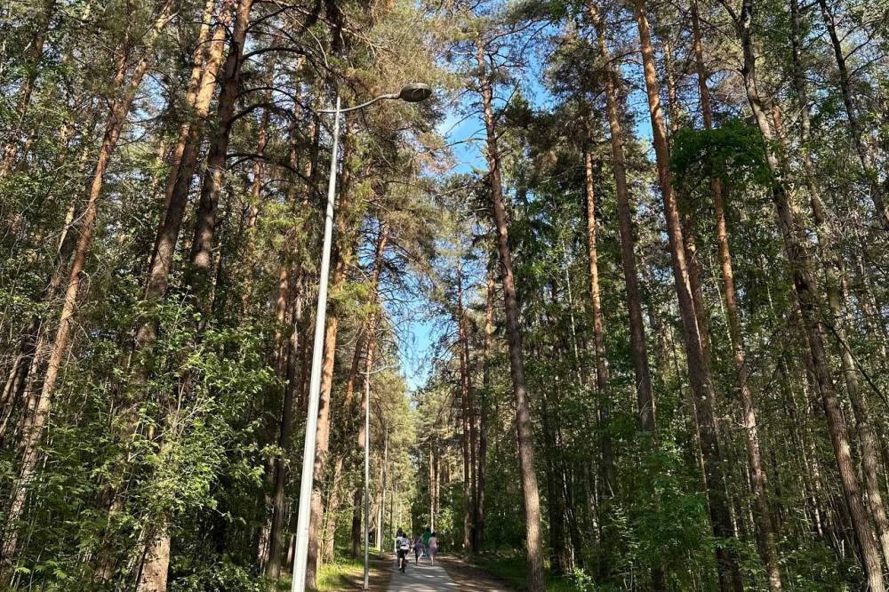 От Черняевского леса до дач: МегаФон ускорил интернет в Перми