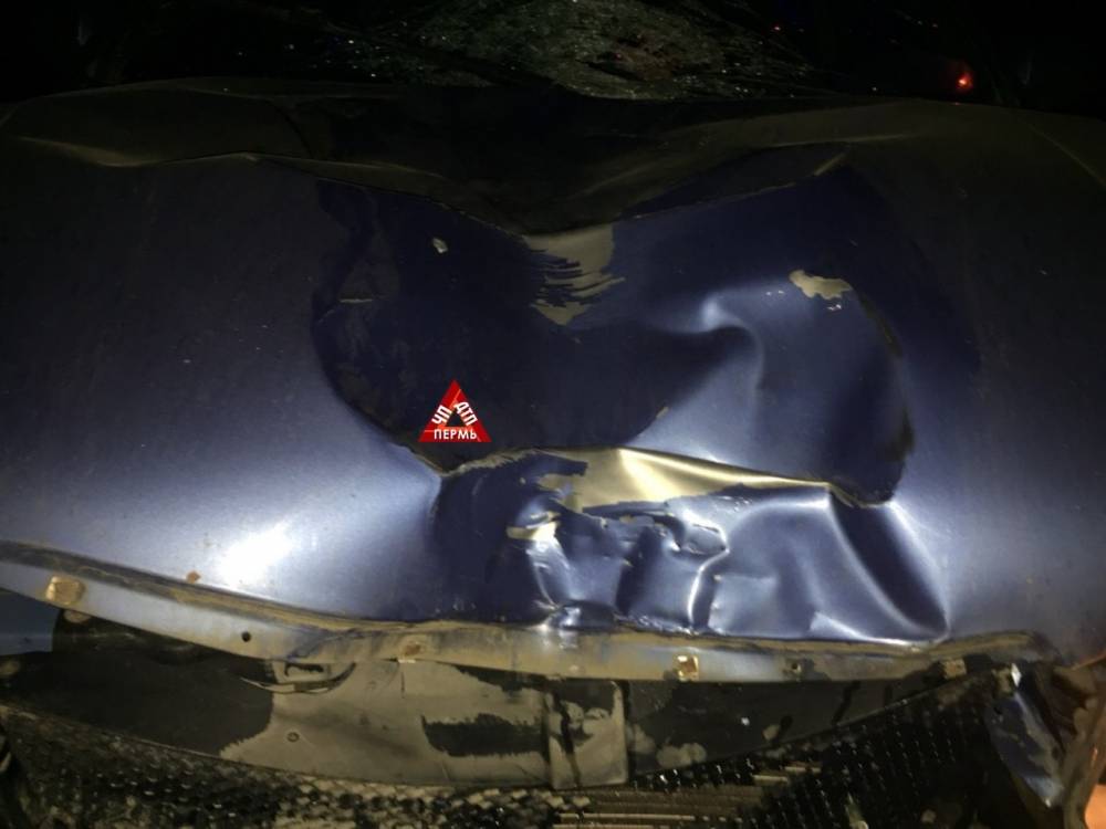 В Пермском крае легковушка сбила пешехода