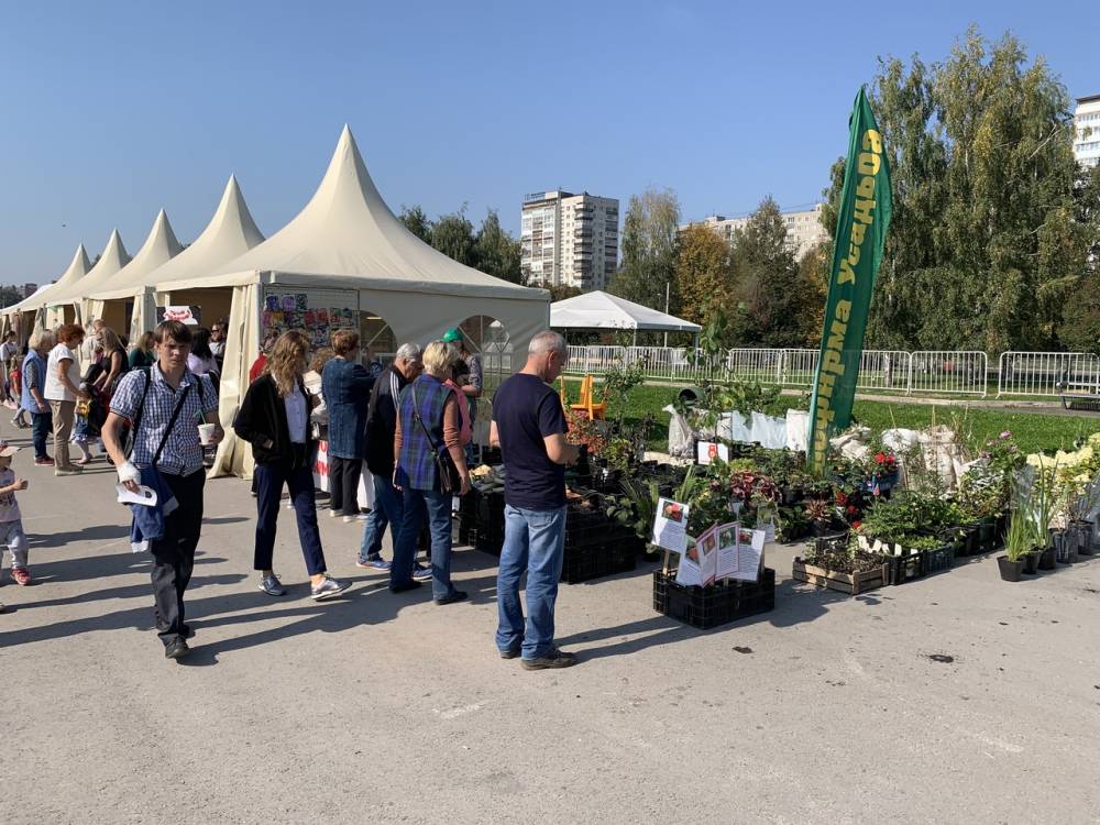 ​Власти Пермского края рассказали, как будет организована продажа саженцев и садового инвентаря
