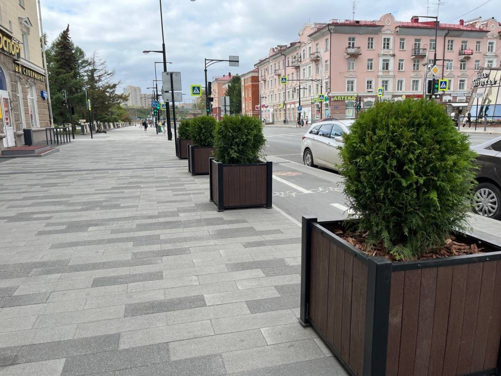 На улице Ленина в центре Перми устанавливают кадки с туями 