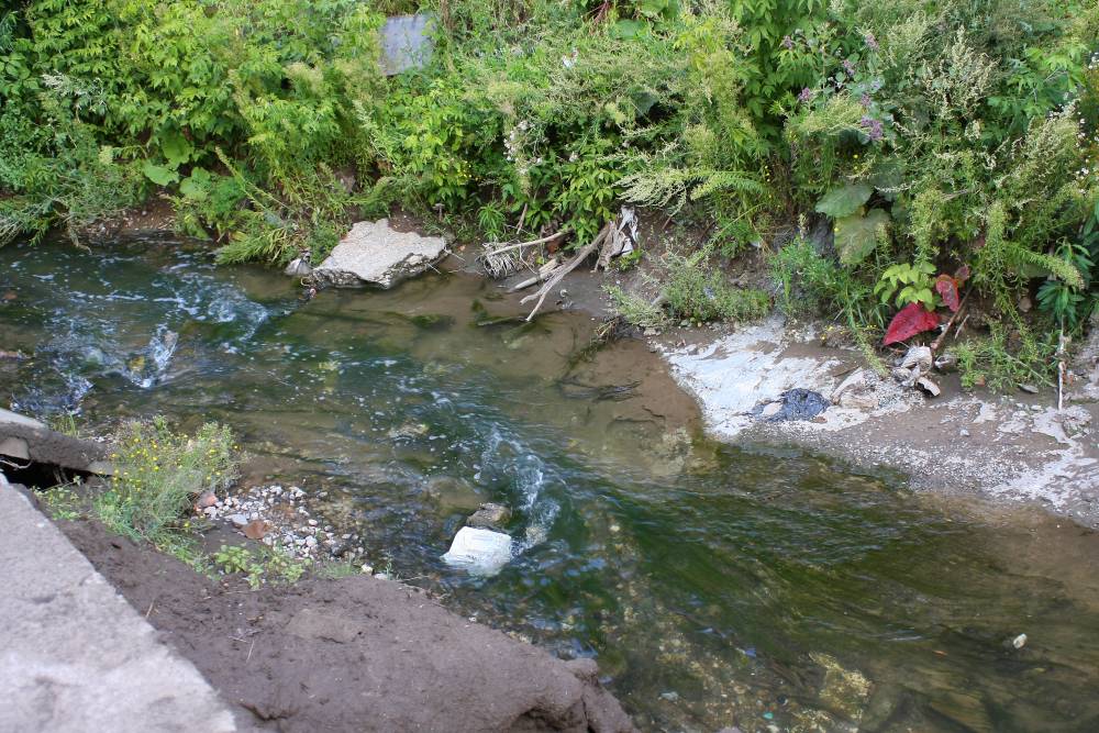 В Перми взяли пробы воды из реки, ставшей ядовито-зеленой