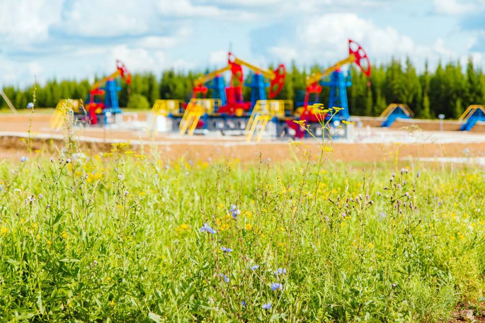   «ЛУКОЙЛ-ПЕРМЬ»  направит на охрану природы и экологические проекты 2 млрд рублей