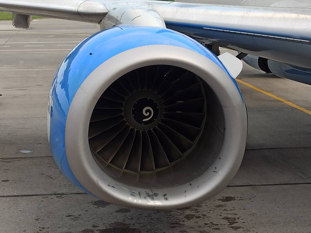 Летевший в Пермь самолет Airbus A-320 столкнулся с птицей