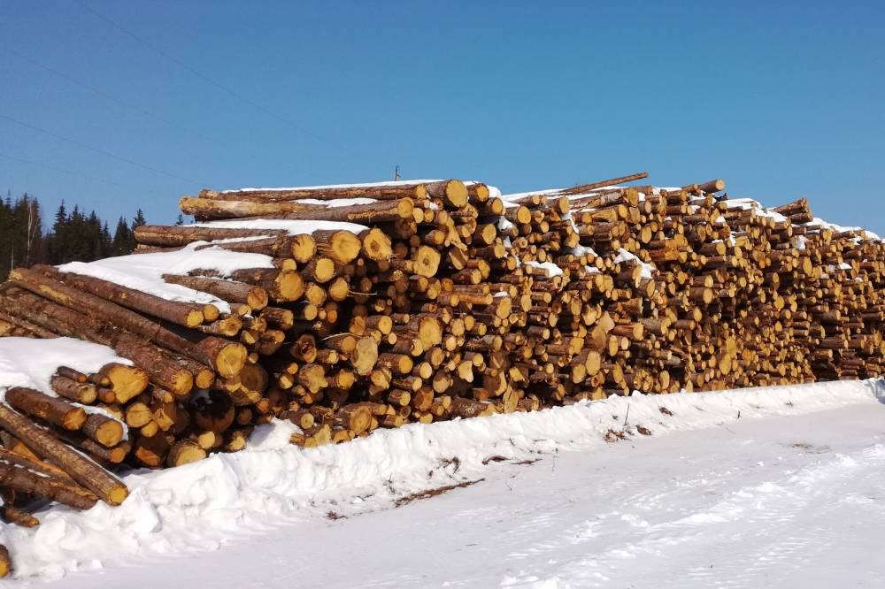 ​В Пермском крае запретят иностранцам работать по патенту в ряде сфер