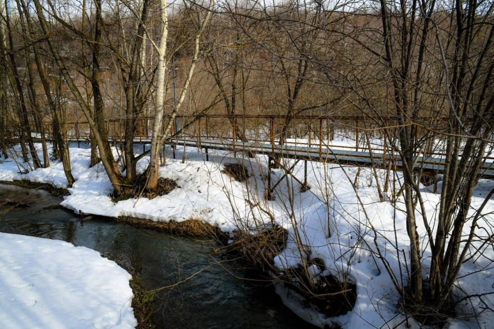 ​Глава Перми Эдуард Соснин рассказал о начале строительства визит-центра возле Северной дамбы