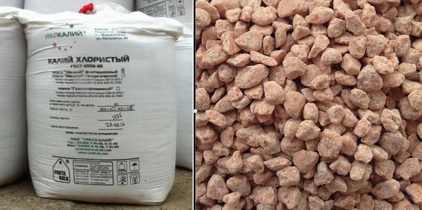 Продукция «Уралкалия» получила знак Минсельхоза РФ «Зеленый эталон»