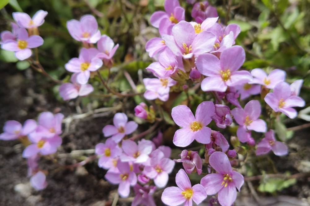 Метеорологи прогнозируют 30-градусную жару с грозами в Пермском крае