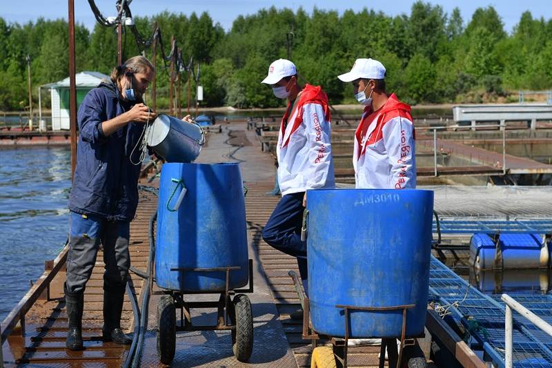 ​Нефтяники выпустят почти 90 тысяч мальков стерляди в водоемы Прикамья