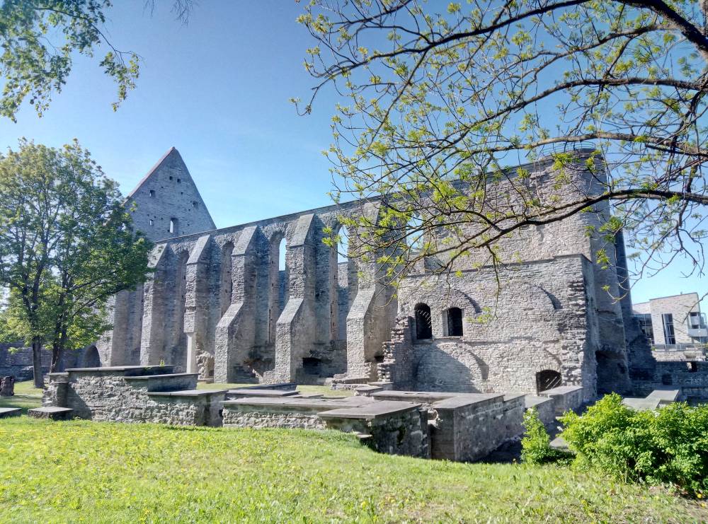 За крепостной стеной