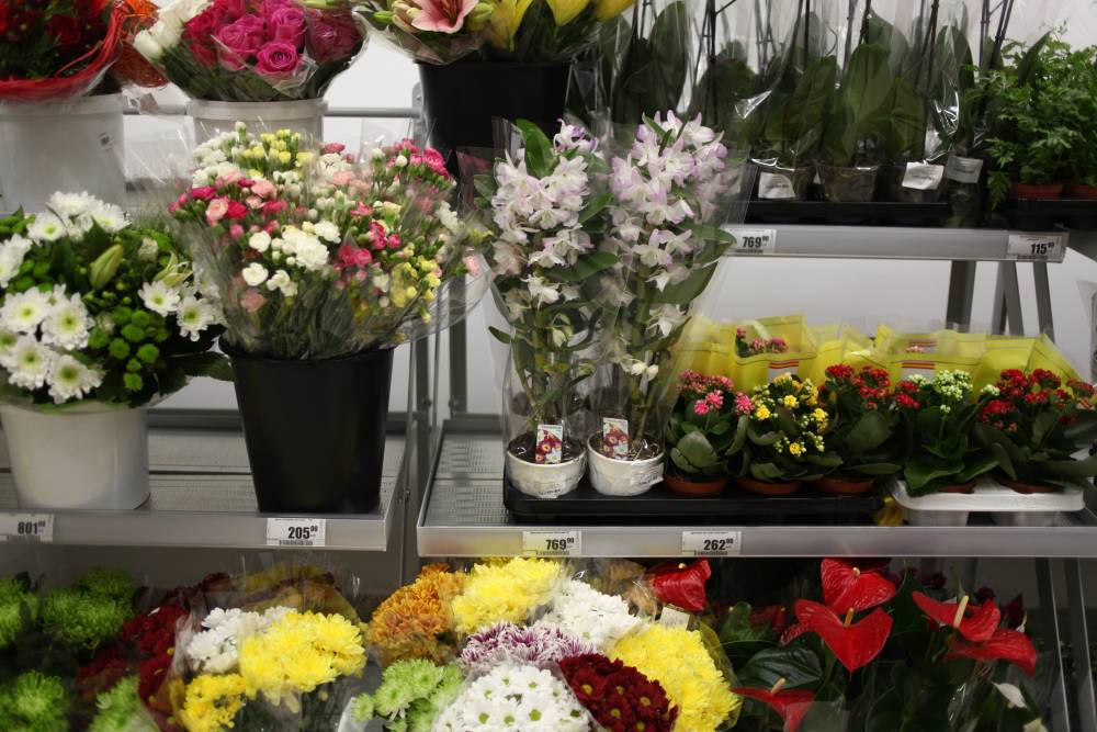 ​Владелец цветочного магазина в Прикамье оштрафован за нарушение противоэпидемических мер