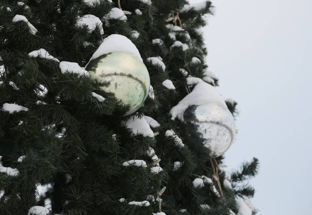 ​Пермские депутаты поделились новогодними фотографиями из детства 