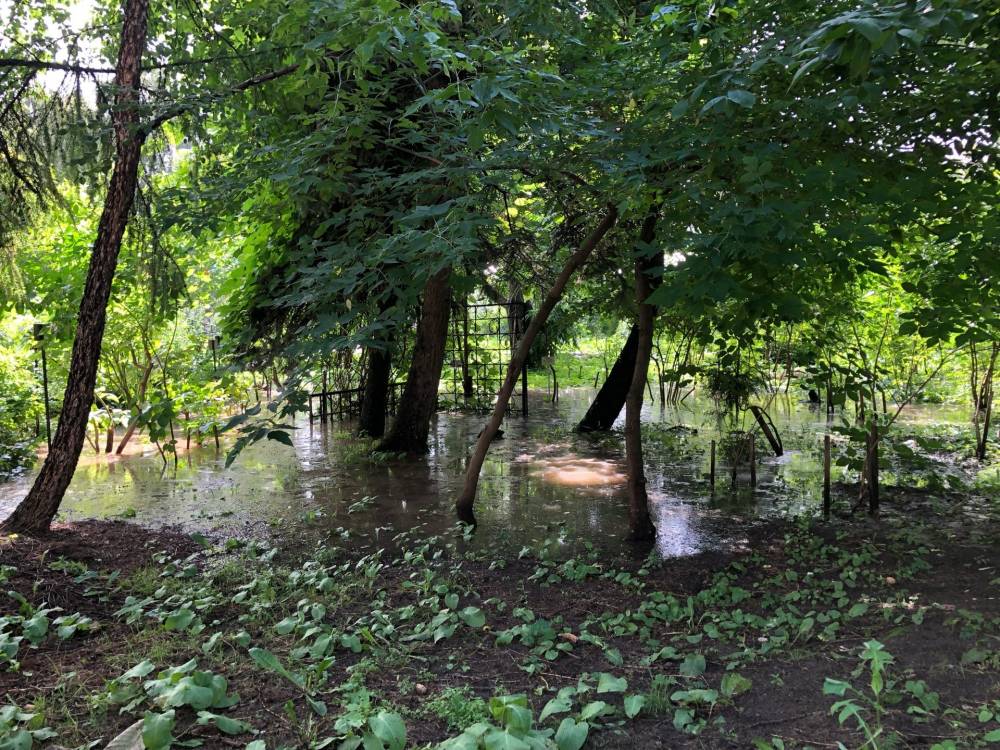 В Ботаническом саду Пермского университета из-за аварии затопило дендрарий