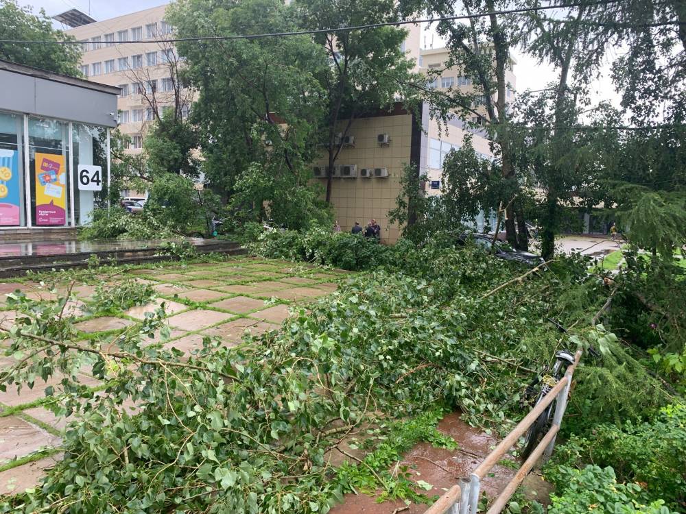 В Перми приступили к ликвидации последствий урагана