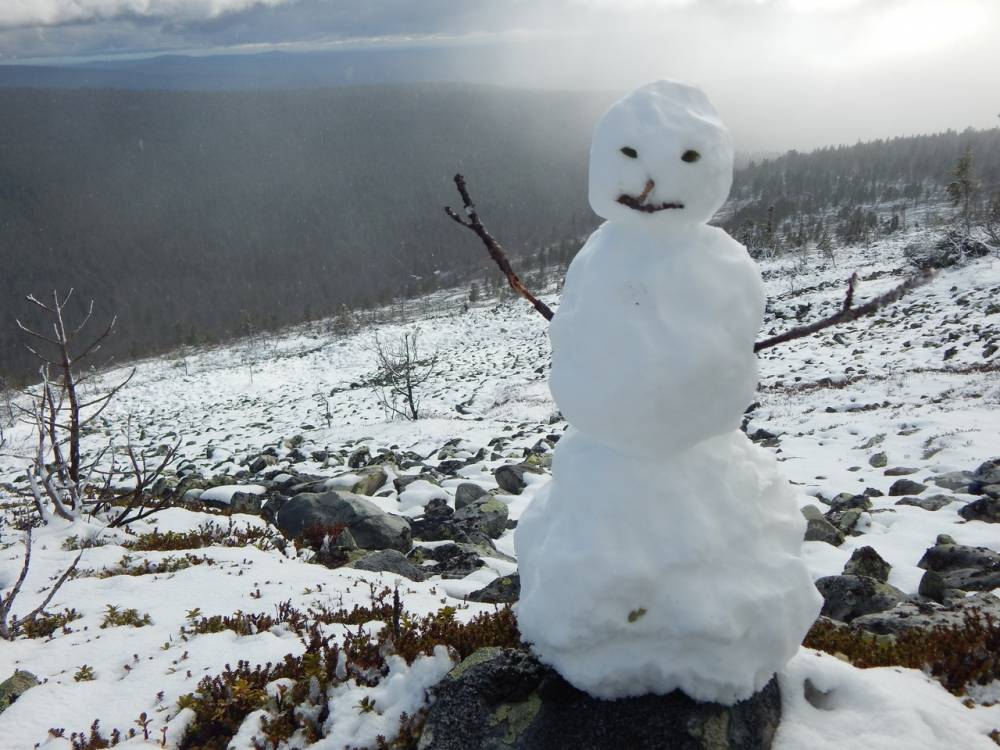 Жители Пермского края делятся фотографиями утреннего снегопада