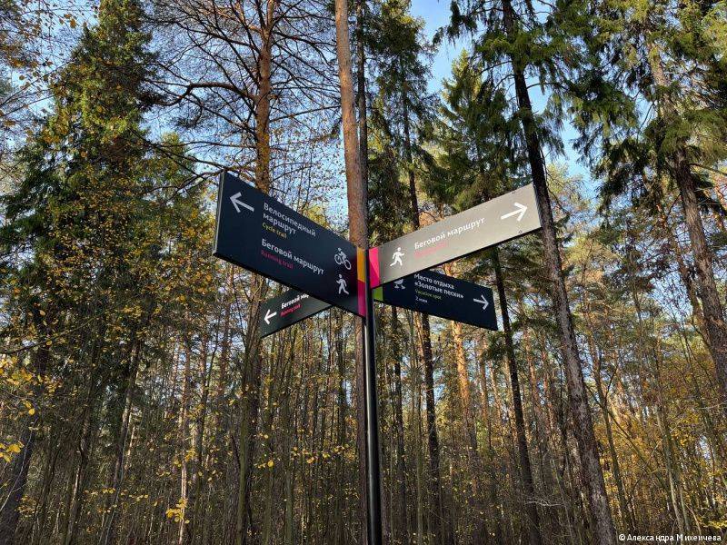 В Перми владельцы снесли павильоны в Балатово до решения суда