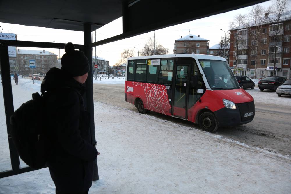 Стал известен самый прибыльный из новых автобусных маршрутов в Перми