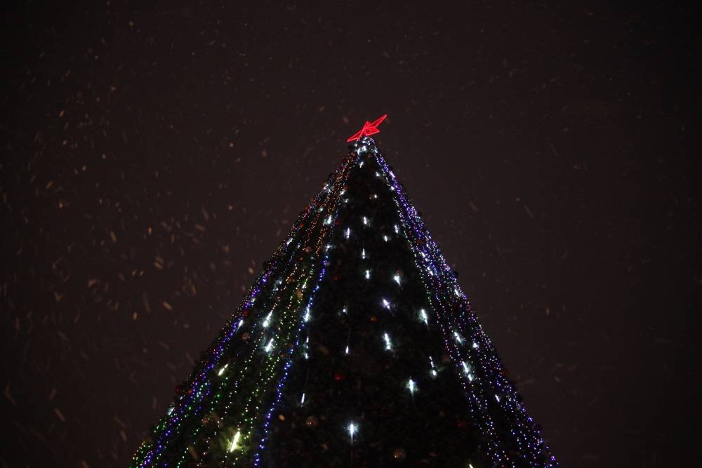 В Перми на эспланаде установят новогоднюю елку 
