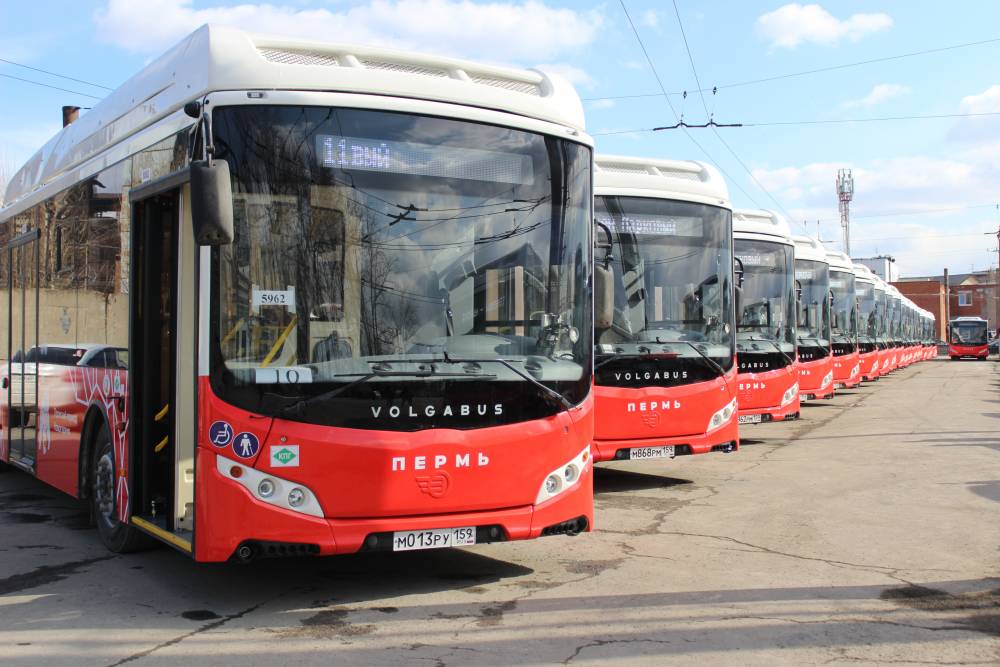 ​Пермь стала лидером рейтинга по качеству общественного транспорта в России