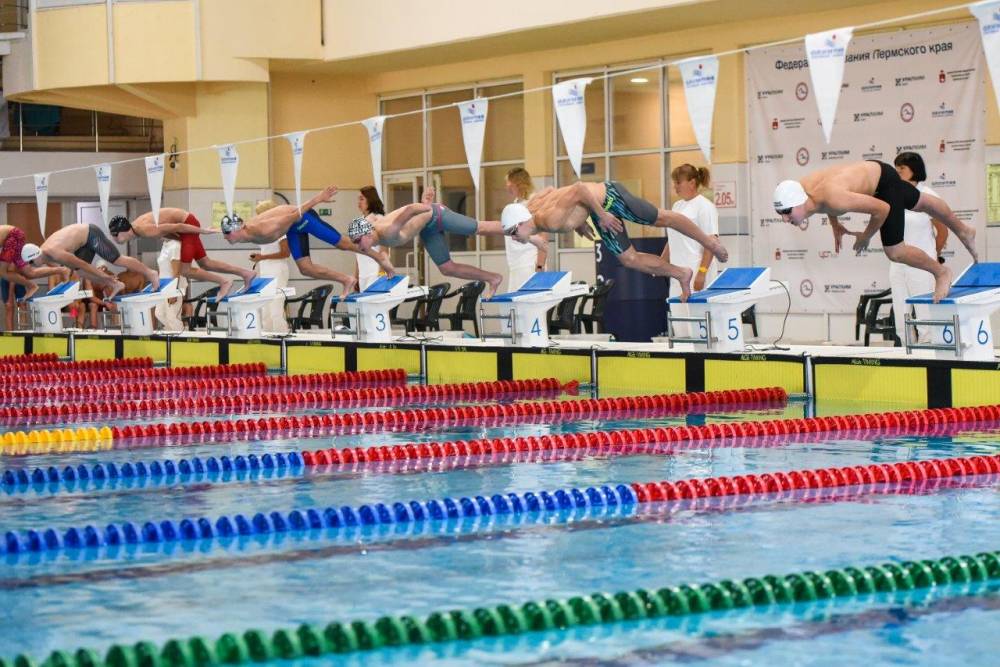 Пловцы Пермского края подвели спортивные итоги 2024 года