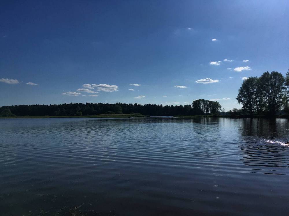 ​На следующей неделе в Пермском крае потеплеет до +26 градусов 