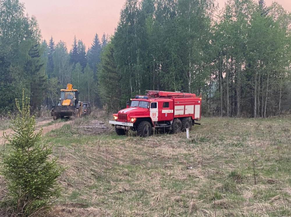 ​В Пермском крае ликвидирован лесной пожар площадью 200 га