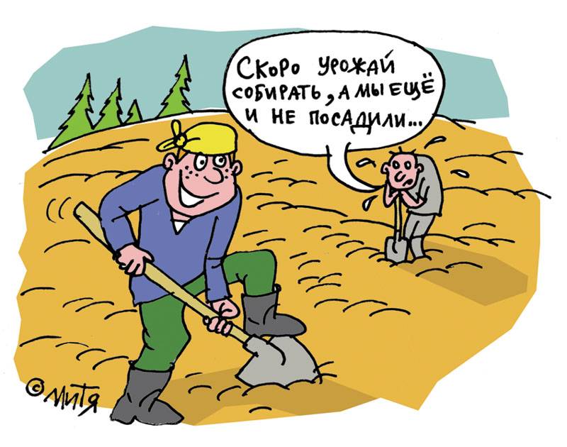 В хозяйстве сгодится