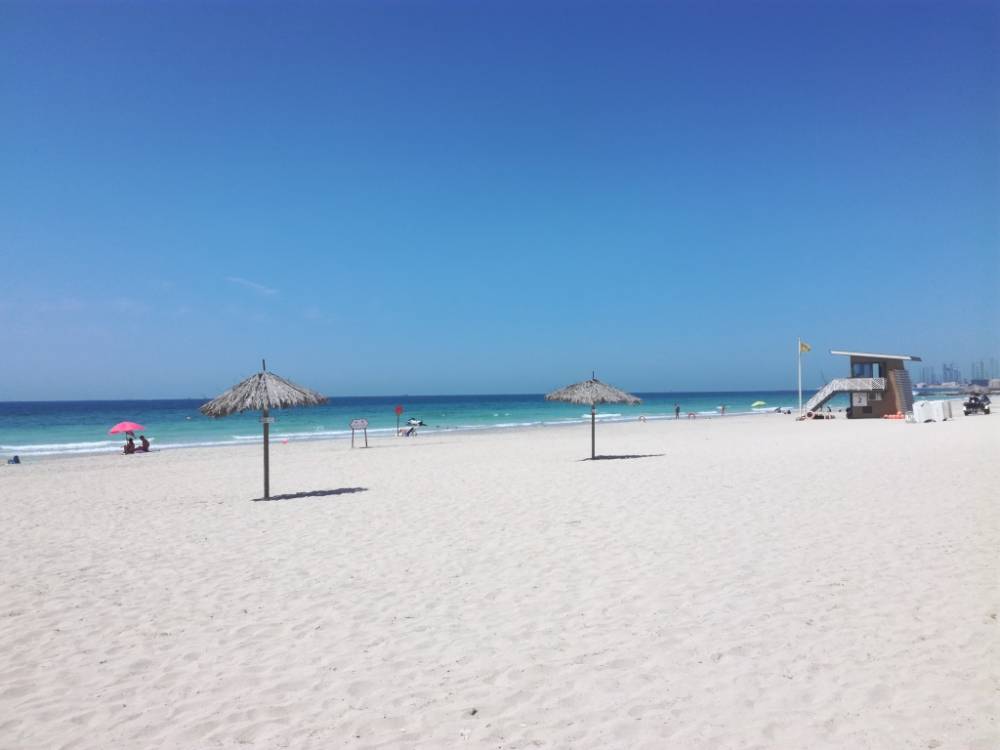 Цветок в пустыне. Корреспондент Business Class – о путешествии в ОАЭ 