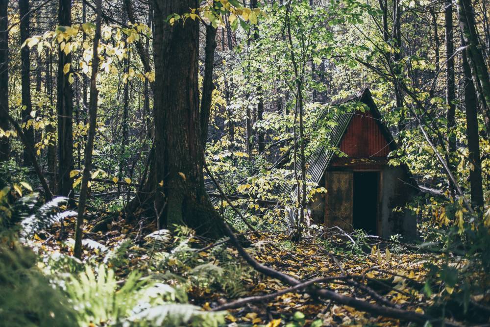 Под звуки лета. Подборка фестивалей в Пермском крае на август