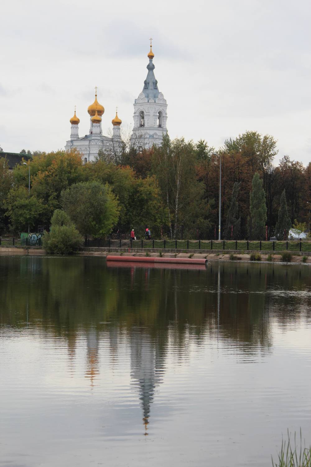 Положительная динамика. Какие решения приняли депутаты Пермской Думы в июне?