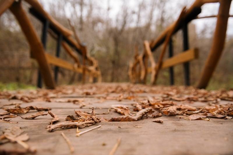 Пермские активисты завершили создание «ТРОПЫ К ЕГОШИХЕ» 