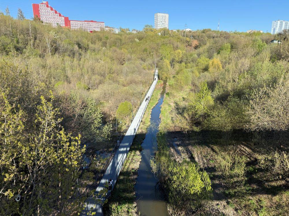 Какой ваш любимый вид Перми? Город глазами руководителей учебных заведений