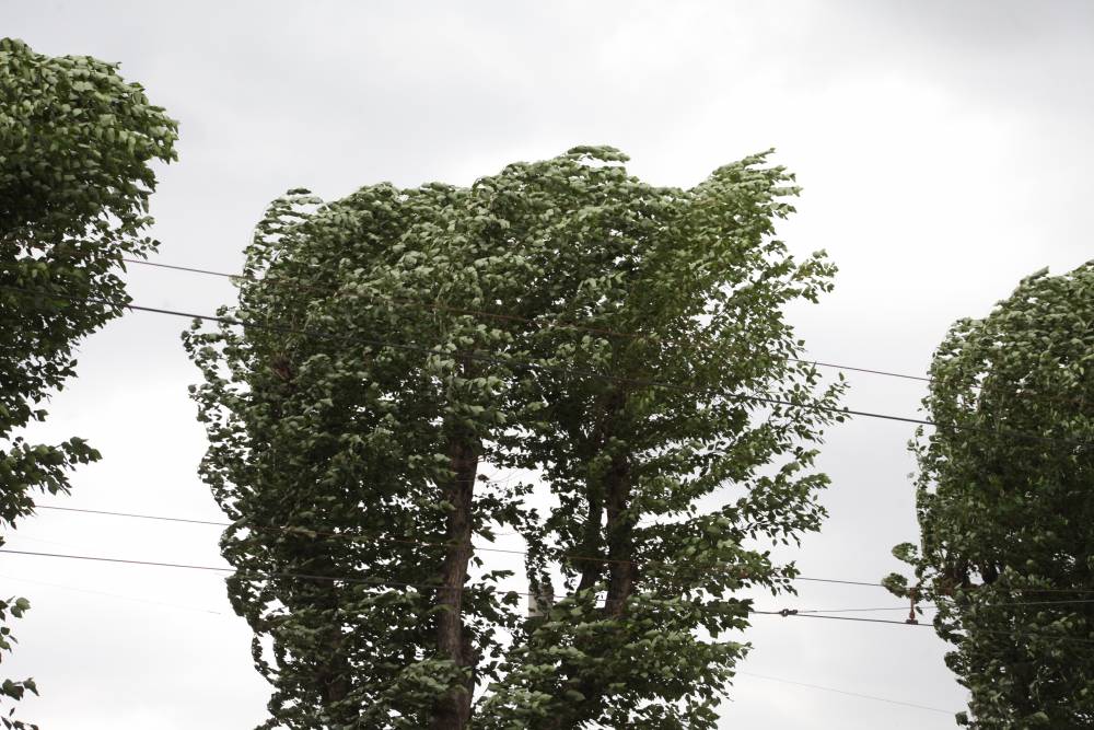 ​В МЧС предупредили о сильном дожде, граде и шквалистом ветре в Пермском крае 11 августа