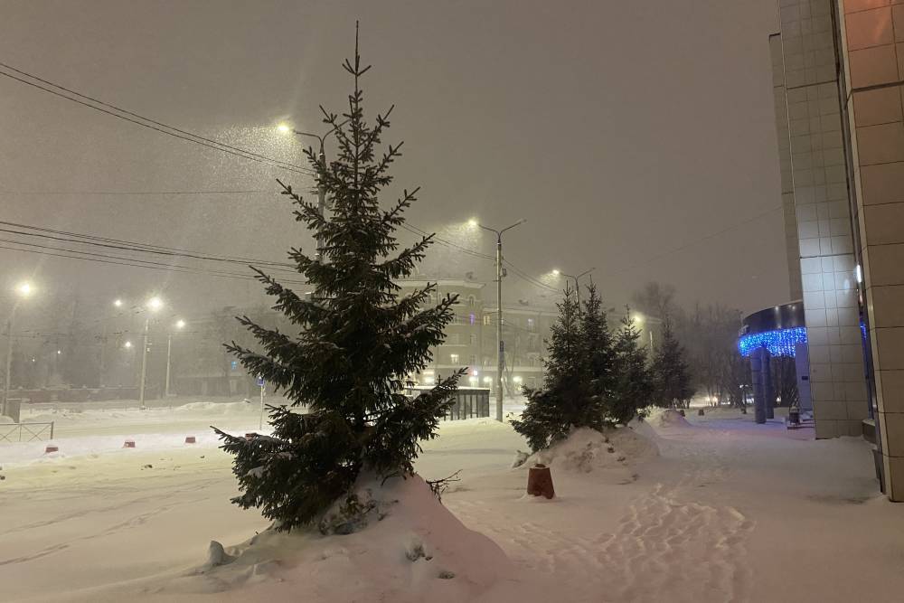 ​В Перми разработали инструкцию для дорожных служб по уборке снега около газонов 