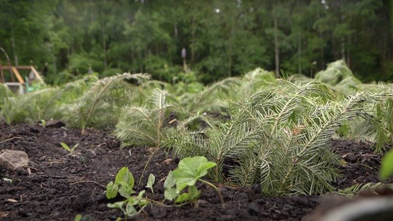 Победители проекта «Город-сад. Наследие» реализуют гранты