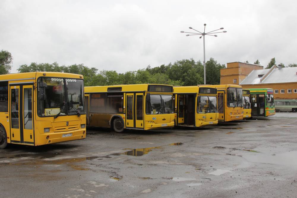 На закамском направлении может остаться только один автобусный маршрут