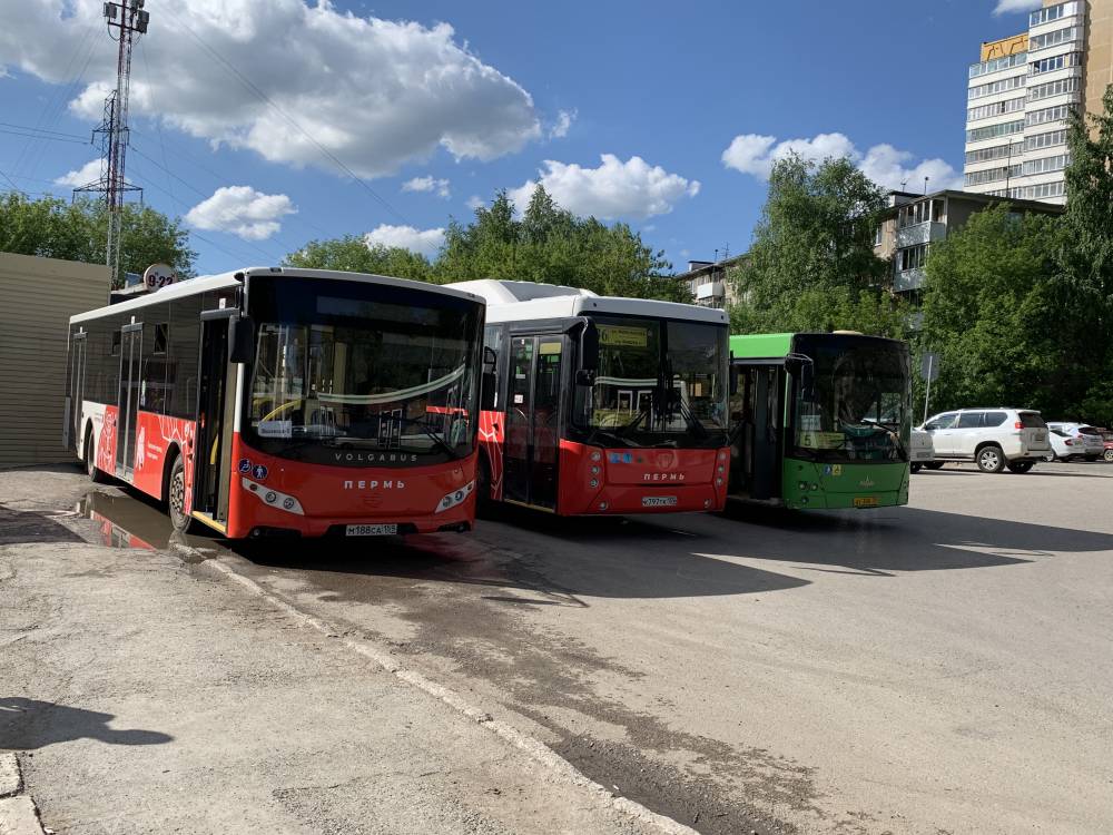 Для удобства дачников увеличено количество автобусных рейсов до Перми I