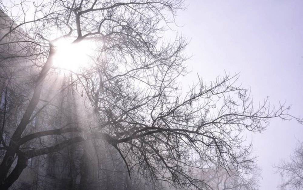 ​Роспотребнадзор проверил качество воздуха в Перми после жалоб на запах газа