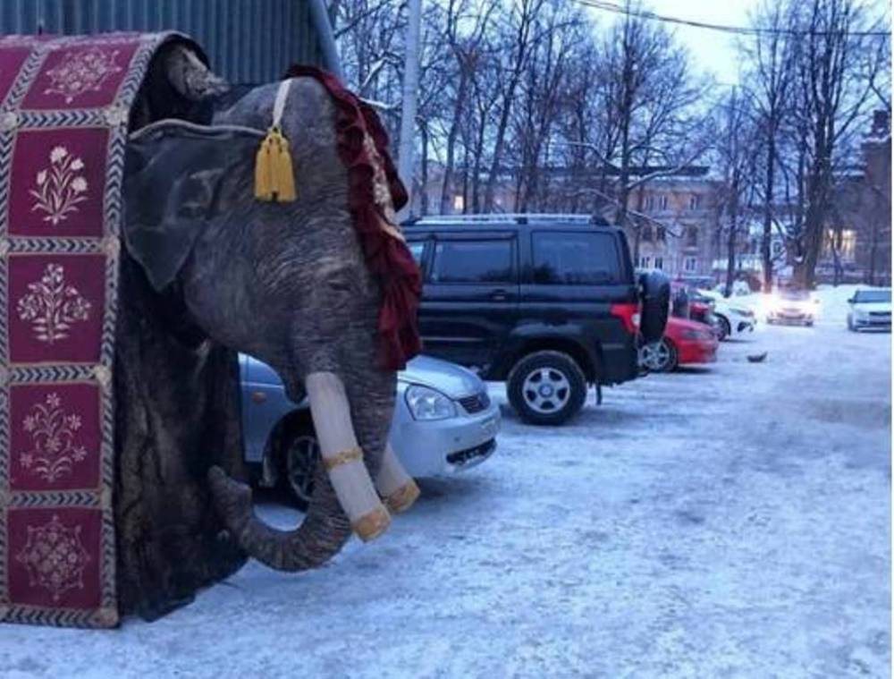 На парковке у театра в Перми появился огромный слон