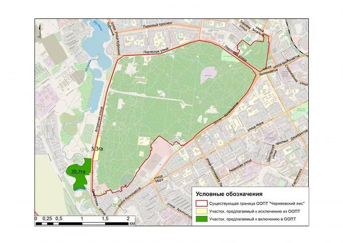 Из природоохранной зоны Черняевского леса в Перми исключили участок в 5,3 га 