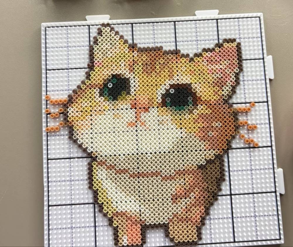 Студент из Китая откроет творческую мастерскую в центре Перми