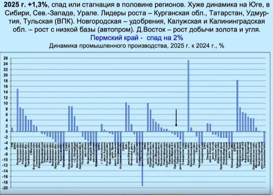​«Вы не Чечня». Экономист Наталья Зубаревич – об успехах и спадах в экономике Пермского края